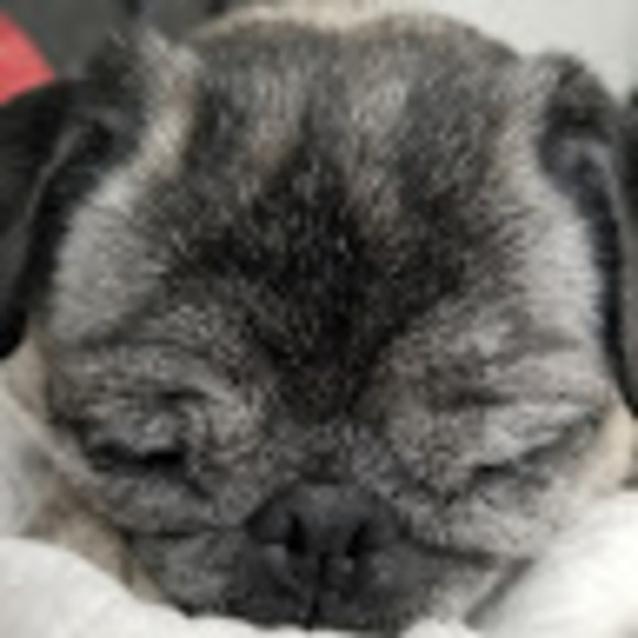 Meet your Posher, Andrea - Picture 1 of 1